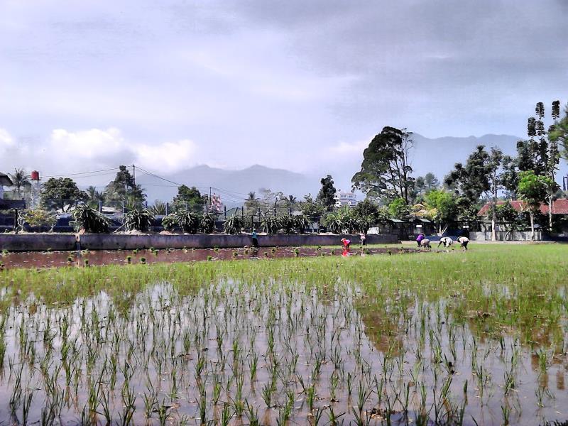 Aries Biru Resort Cisarua Exterior foto